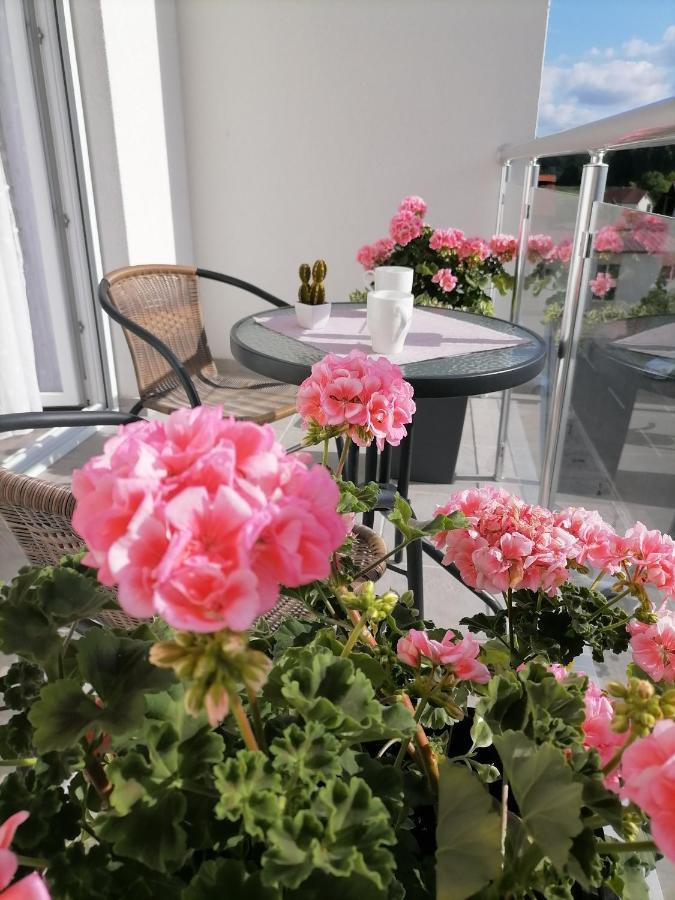 Ferienwohnung Svjetlanalex 2 Banja Koviljača Exterior foto